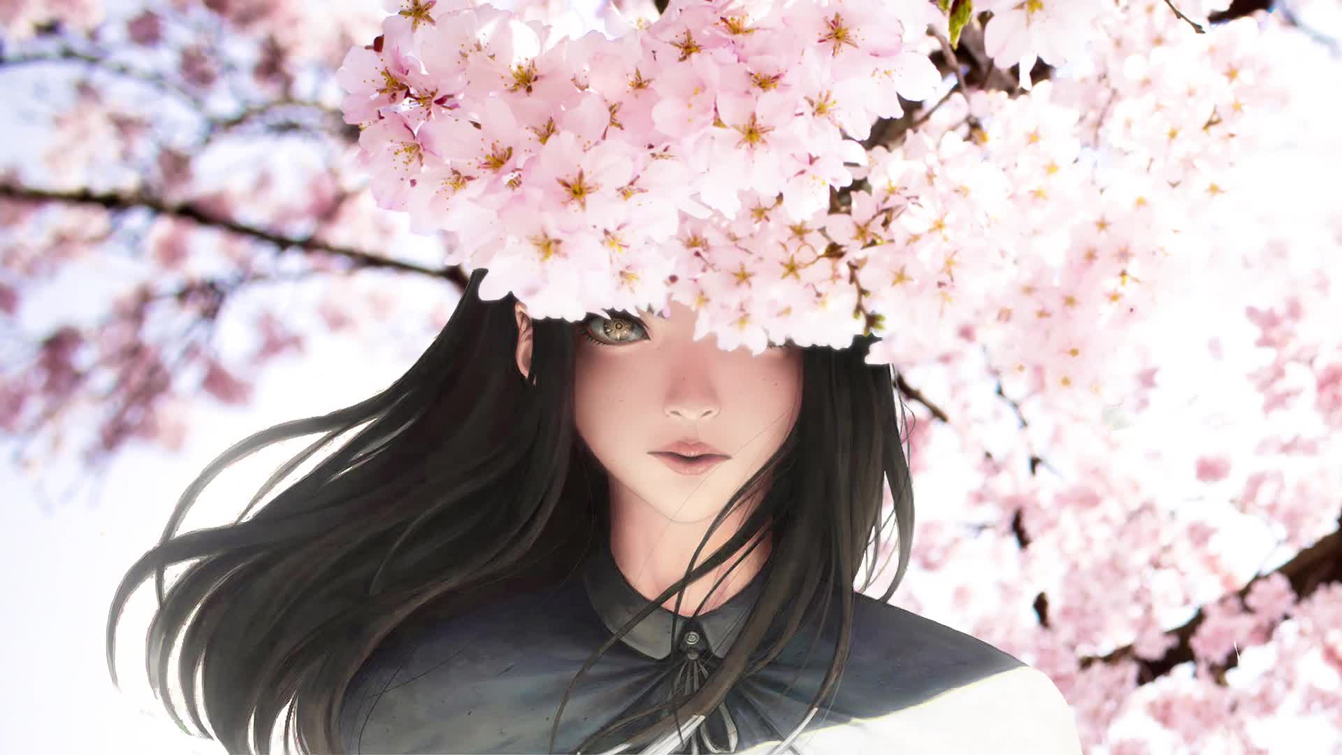 Download Blossom and Anime Girl Live Wallpaper