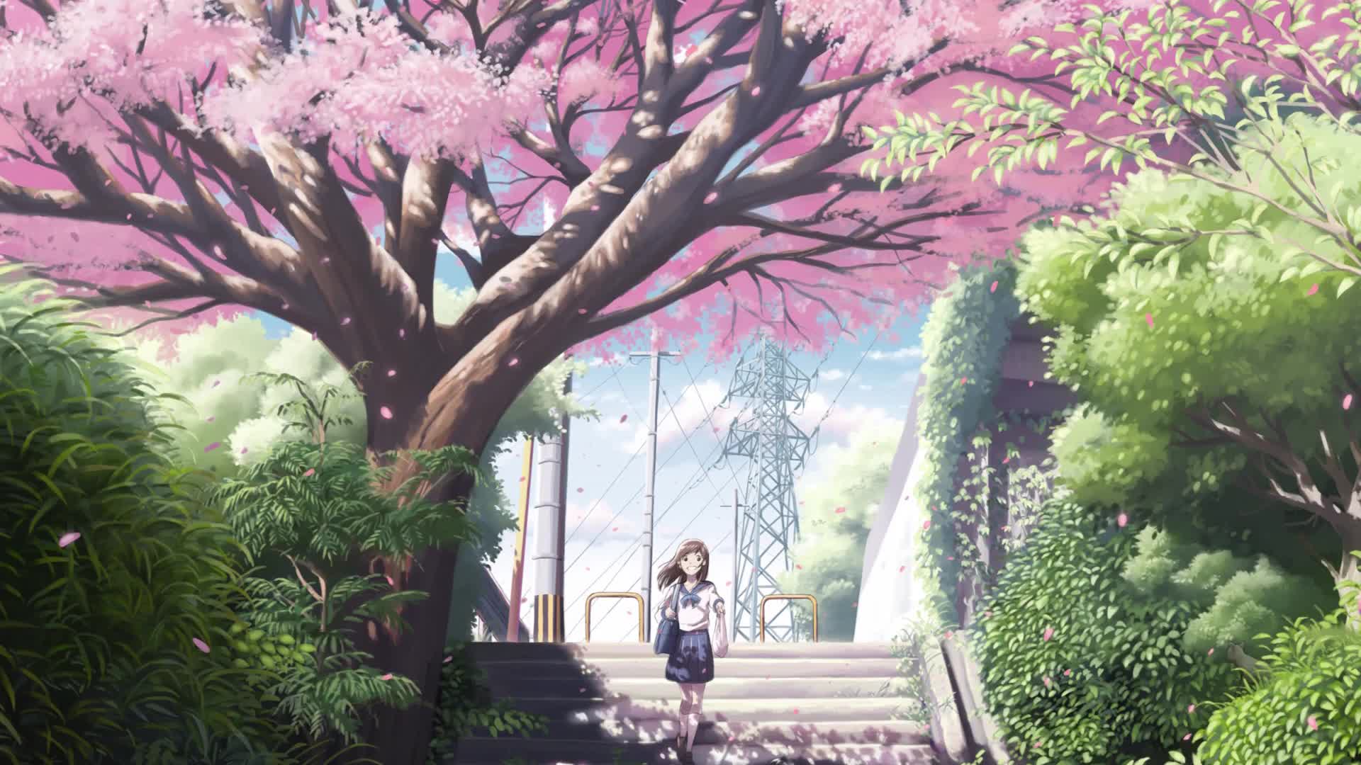 Download Anime Girl Relaxing Sakura Trees Live Wallpaper Free