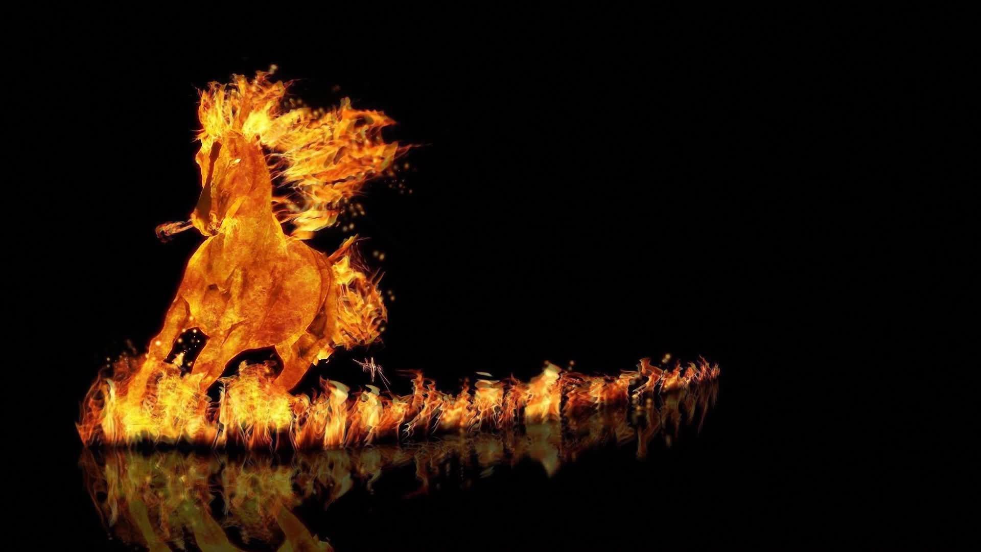 Download Fire  Horse  Artwork  Live  Wallpaper