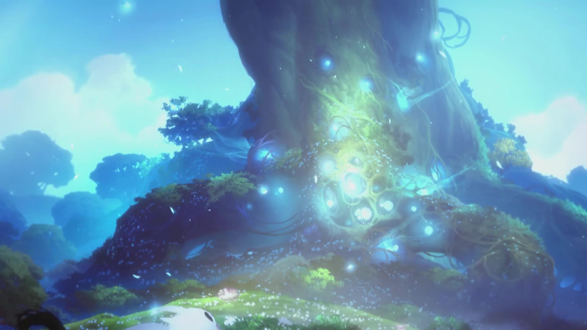 Download Ori  And  The  Blind  Forest  Live  Wallpaper