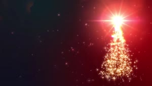 Download Christmas Tree SNow Flakes Live Wallpaper