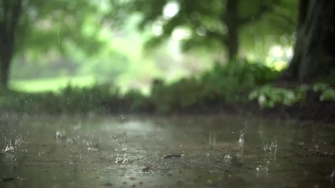 Download PC Rain Live Wallpaper