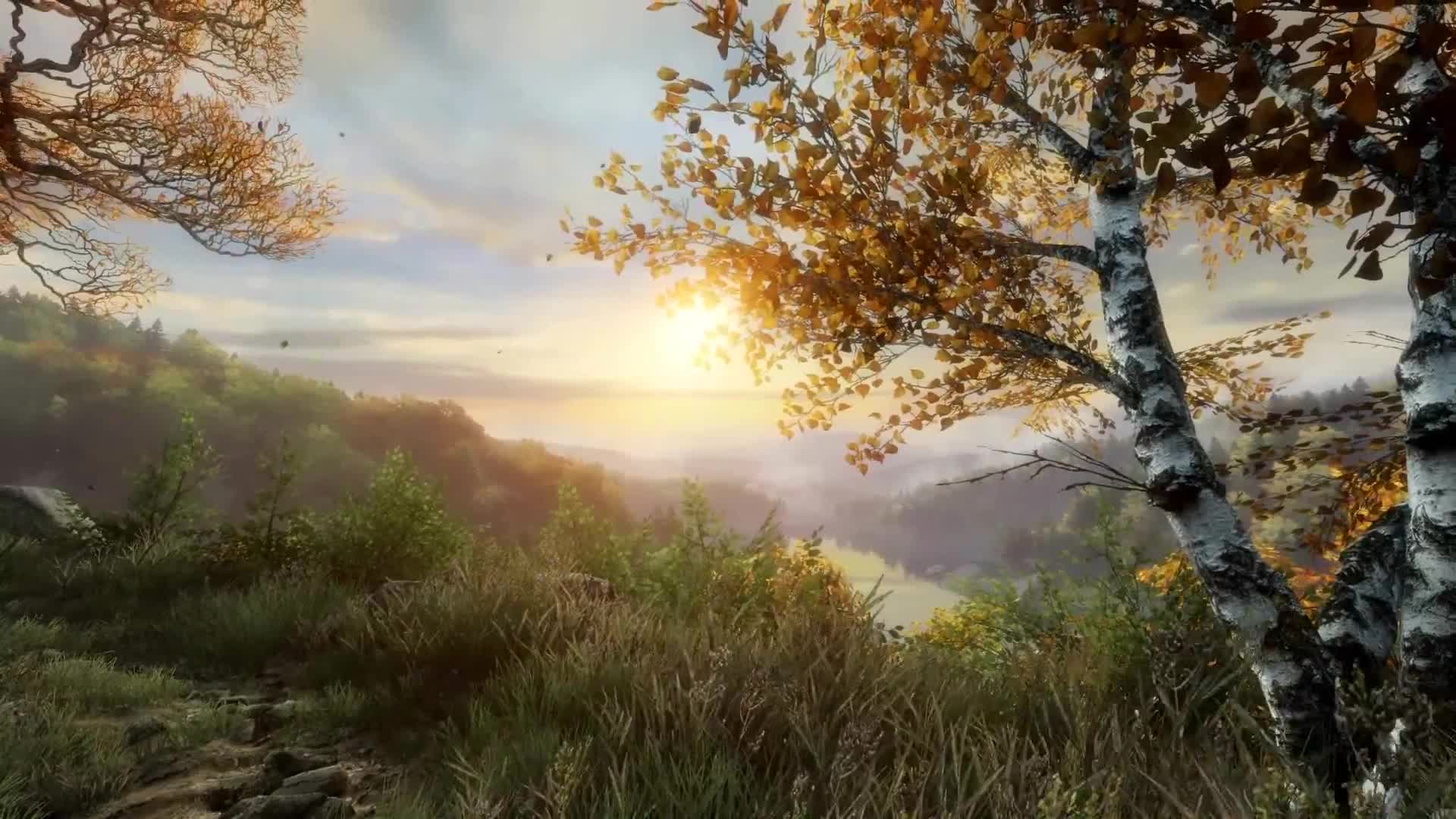 Download Vanishing of Ethan Carter Valley Scene