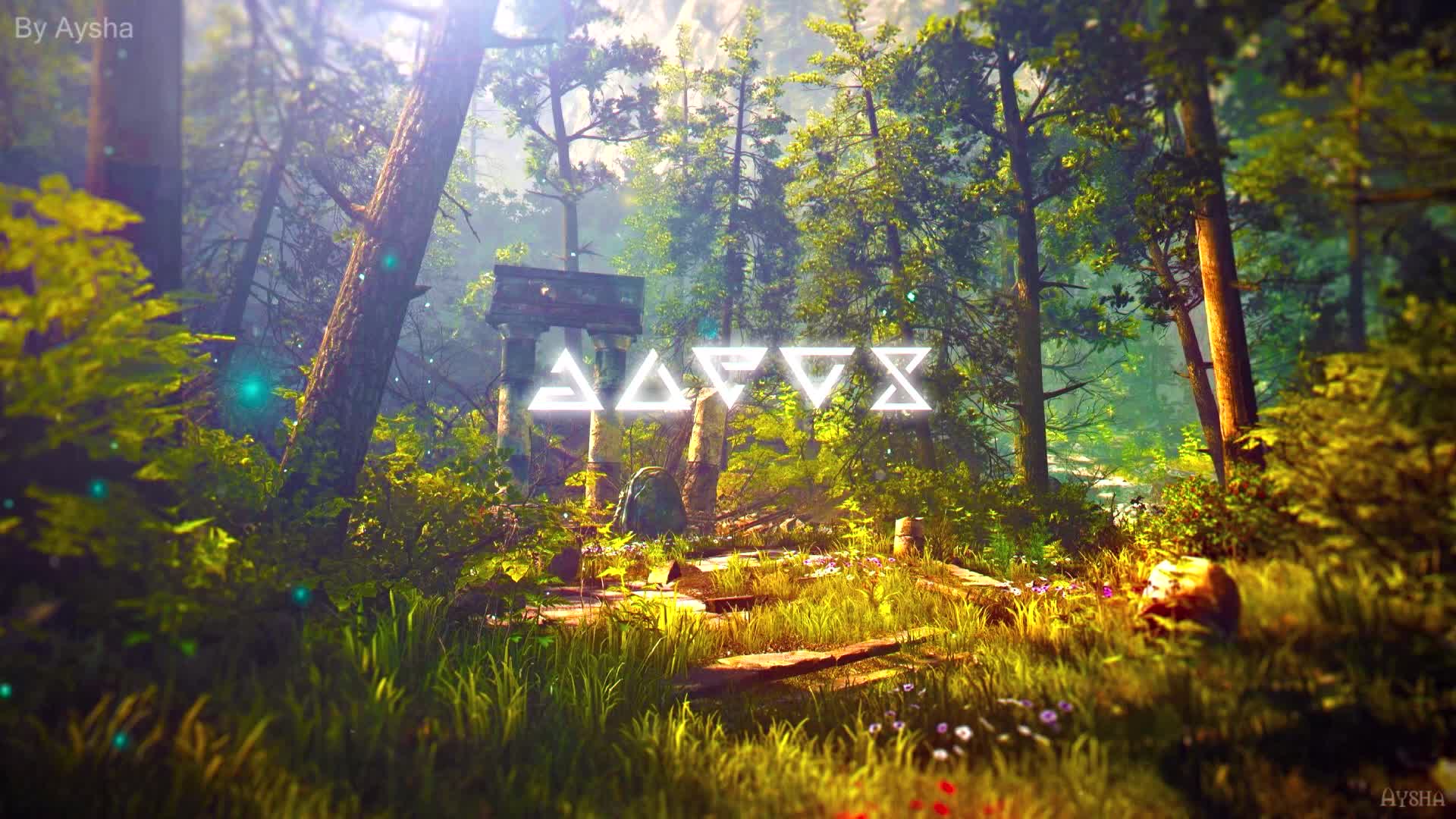 Download PC Witcher Signs Forest Live Wallpaper Free