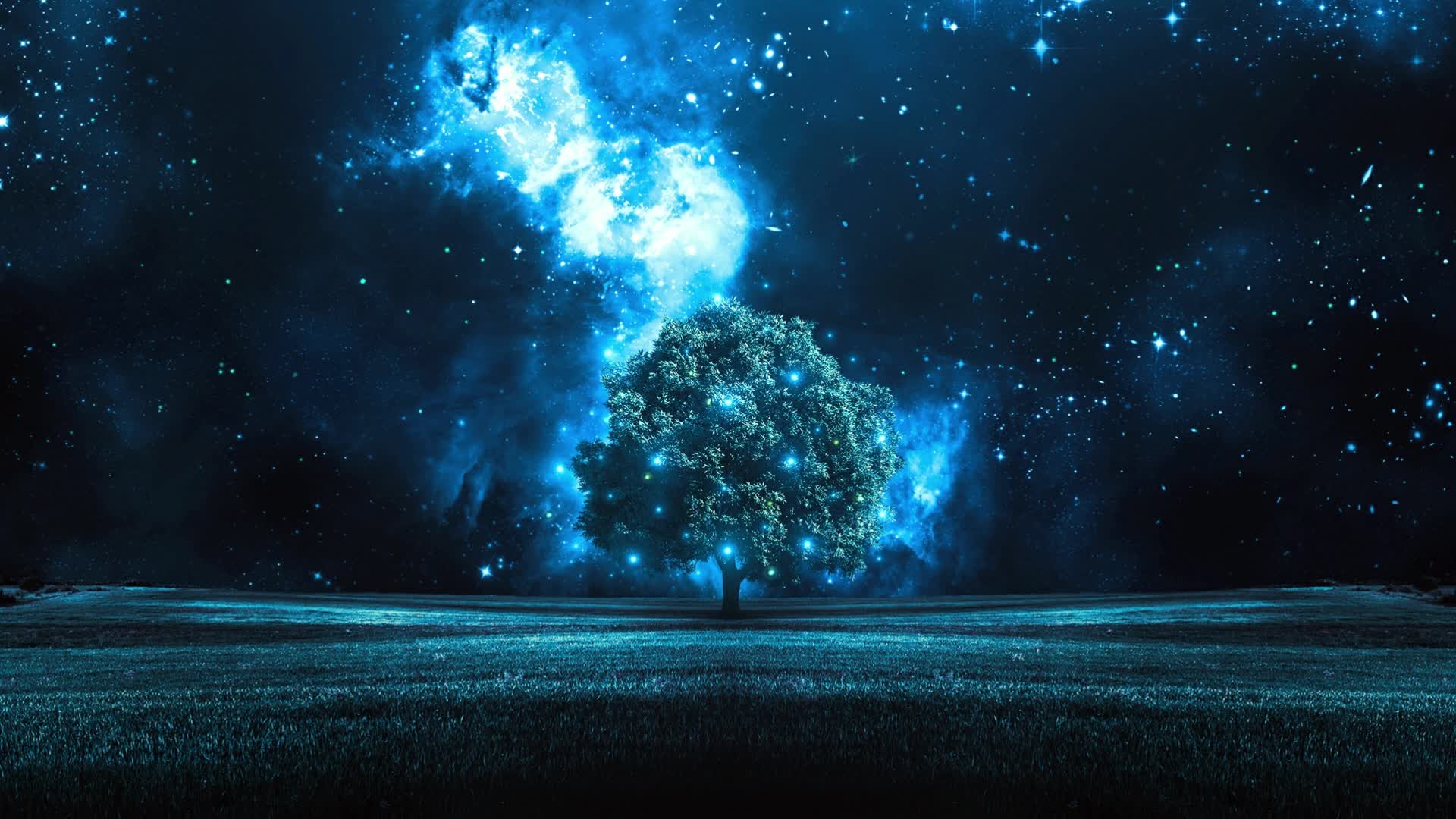 Download PC Night Stars Tree Live Wallpaper Free