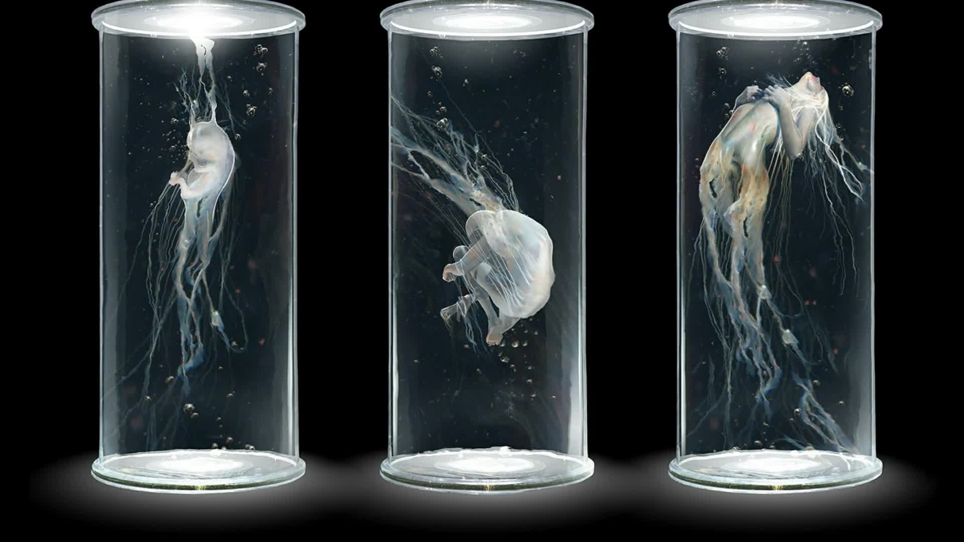 Download PC Glass Capsules Live Wallpaper Free