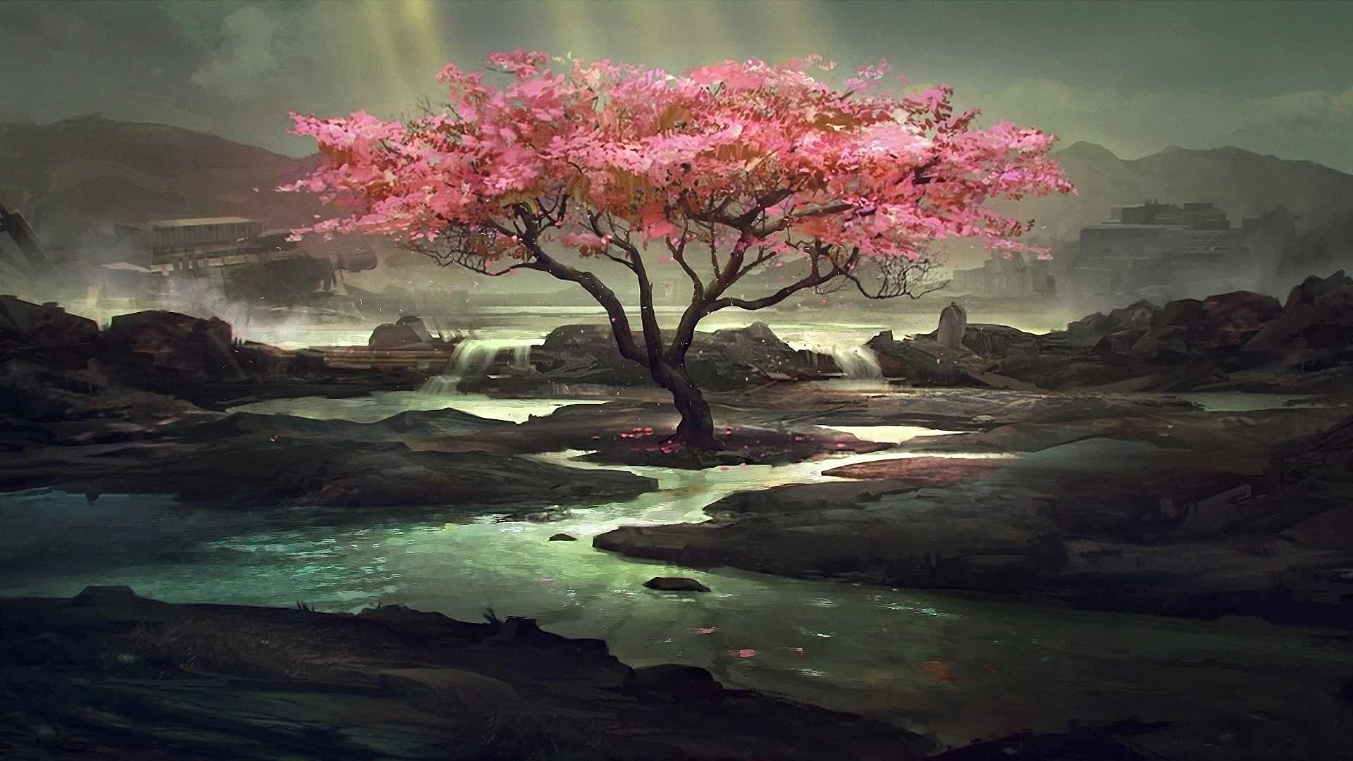 Download PC Sakura Tree Live Wallpaper Free