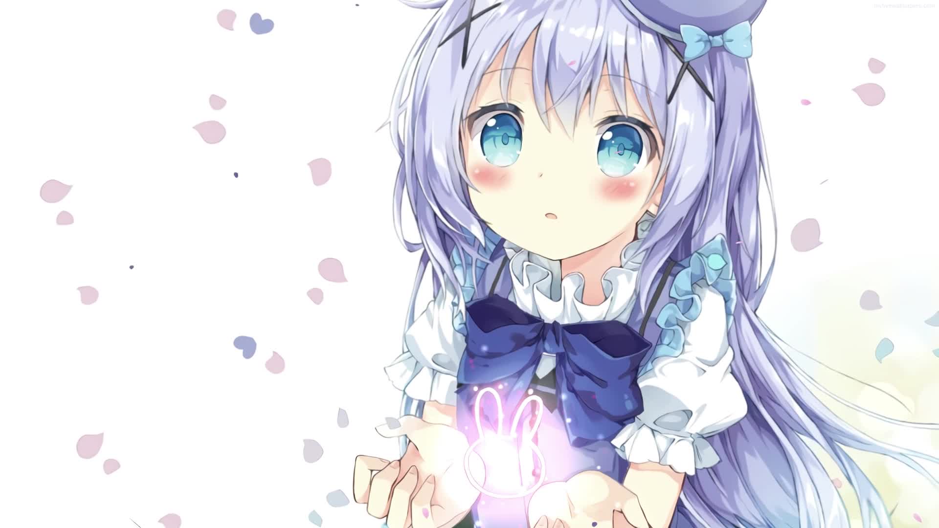 Download PC Kafuu Chino Live Wallpaper Free