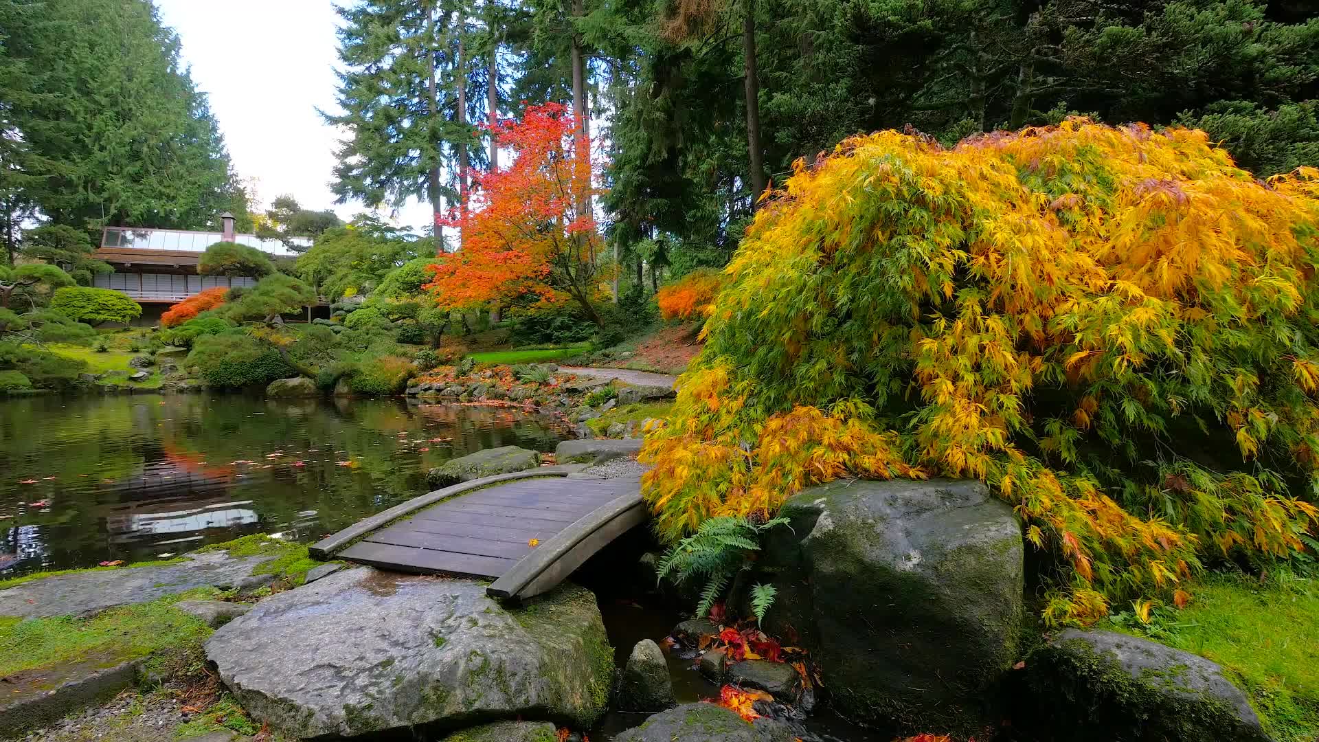 Download PC Japanese Garden Live Wallpaper Free