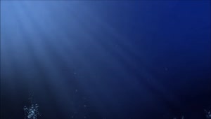 Download Underwater 37712 Original Free Stock Video