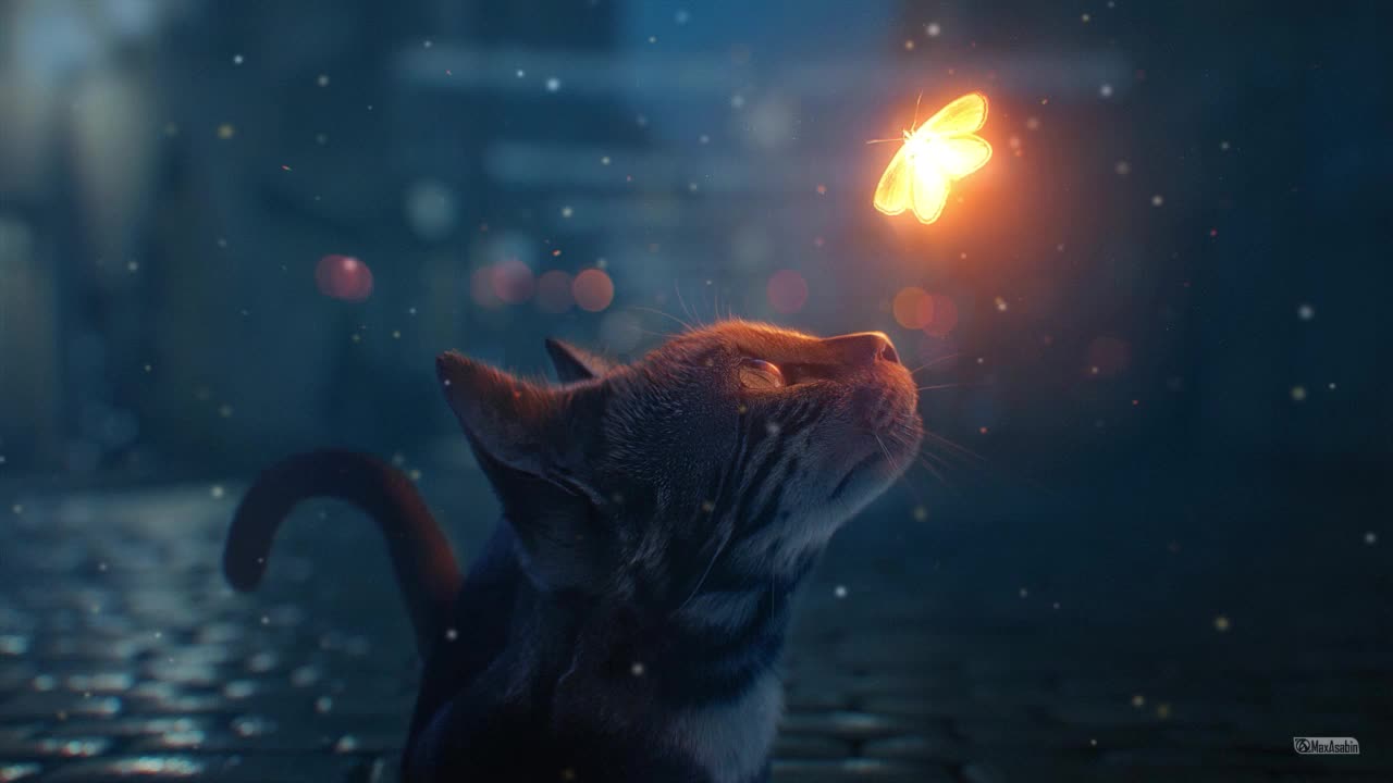 Download Cat Looking At Glowing Butterfly HD Live Wallpaper For PC