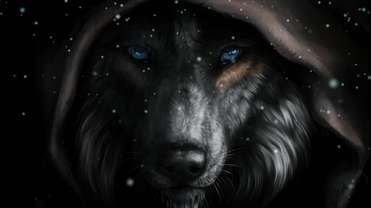 Download Black Wolf Face HD Live Wallpaper For PC