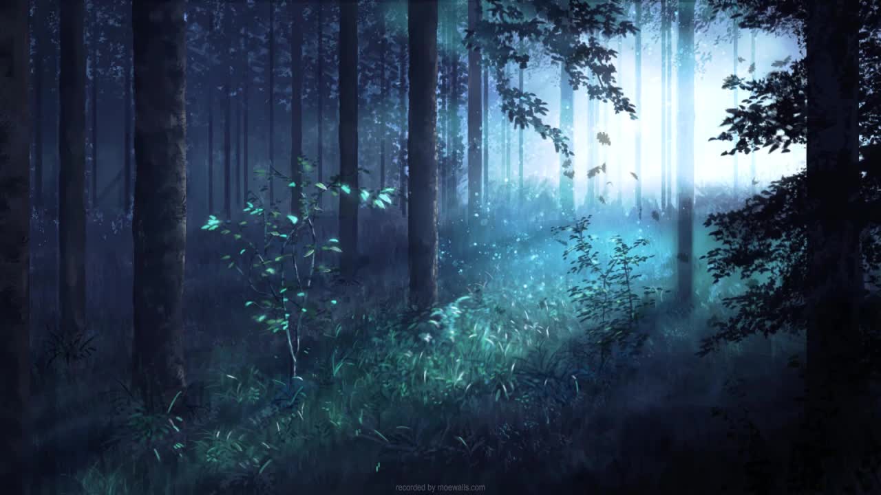 Download Morning In The Forest HD Live Wallpaper For PC