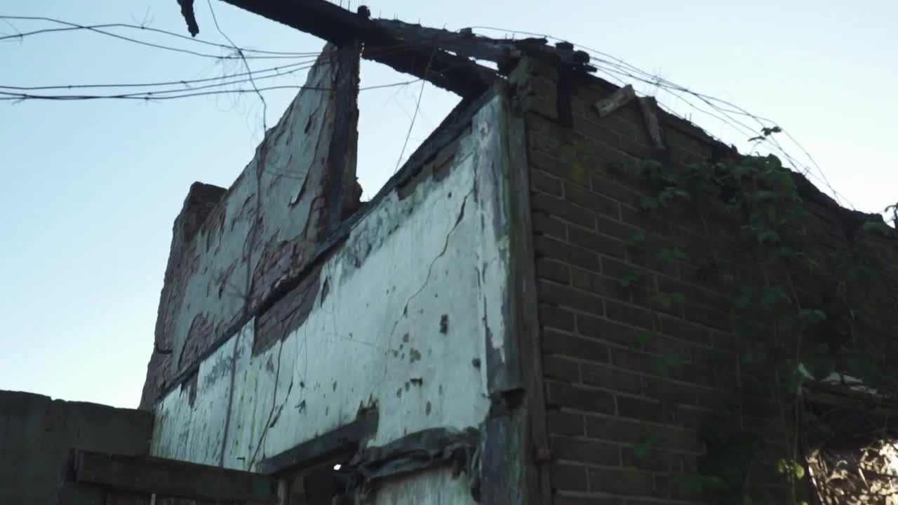 Download Stock Video Abandoned Building Ruins In A Forest Live Wallpaper for PC