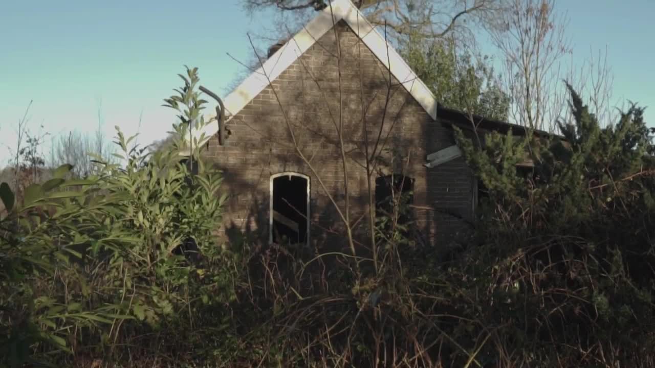 Download Stock Video Abandoned House In A Forest Live Wallpaper for PC