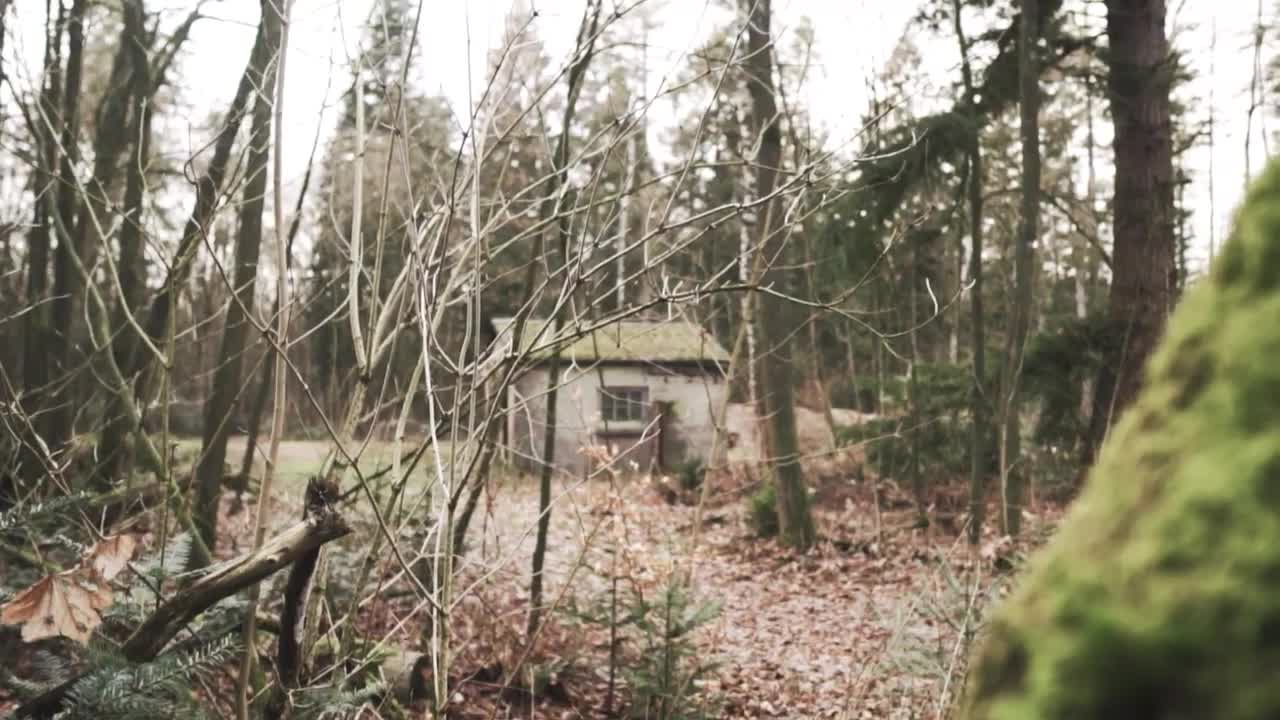 Download Stock Video Abandoned Shed In A Forest In Autumn Live Wallpaper for PC