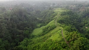 Download Stock Video Aerial Cinematic View Of Indonesian Jungle Road Live Wallpaper for PC