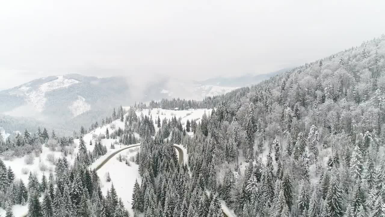 Download Stock Video Aerial Shot Of A Frozen Road Among A Forest Live Wallpaper for PC