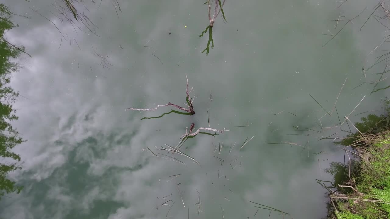 Download Stock Video Aerial Top Shot Of A Swamp In The Jungle Live Wallpaper for PC