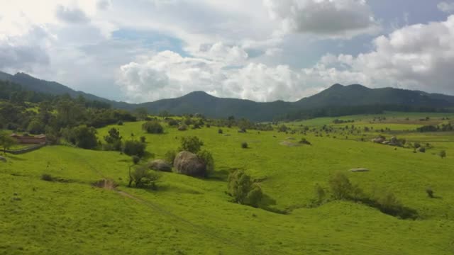 Download Stock Video Aerial Tour Of A Large Meadow Covered With Vegetation Live Wallpaper for PC