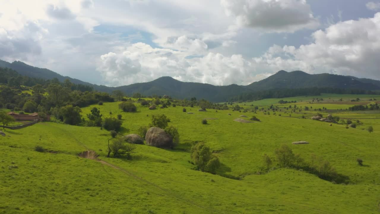 Download Stock Video Aerial Tour Of A Large Meadow Covered With Vegetation  Larg Live Wallpaper for PC