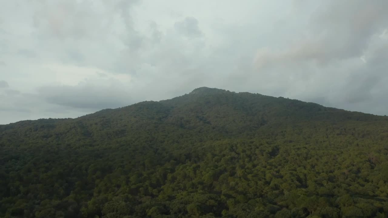 Download Stock Video Aerial Tour Through A Large Forest That Covers A Mountain  Larg Live Wallpaper for PC