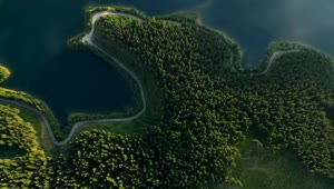 Download Stock Video Aerial View Of A Forest A Lake And The Road Live Wallpaper for PC