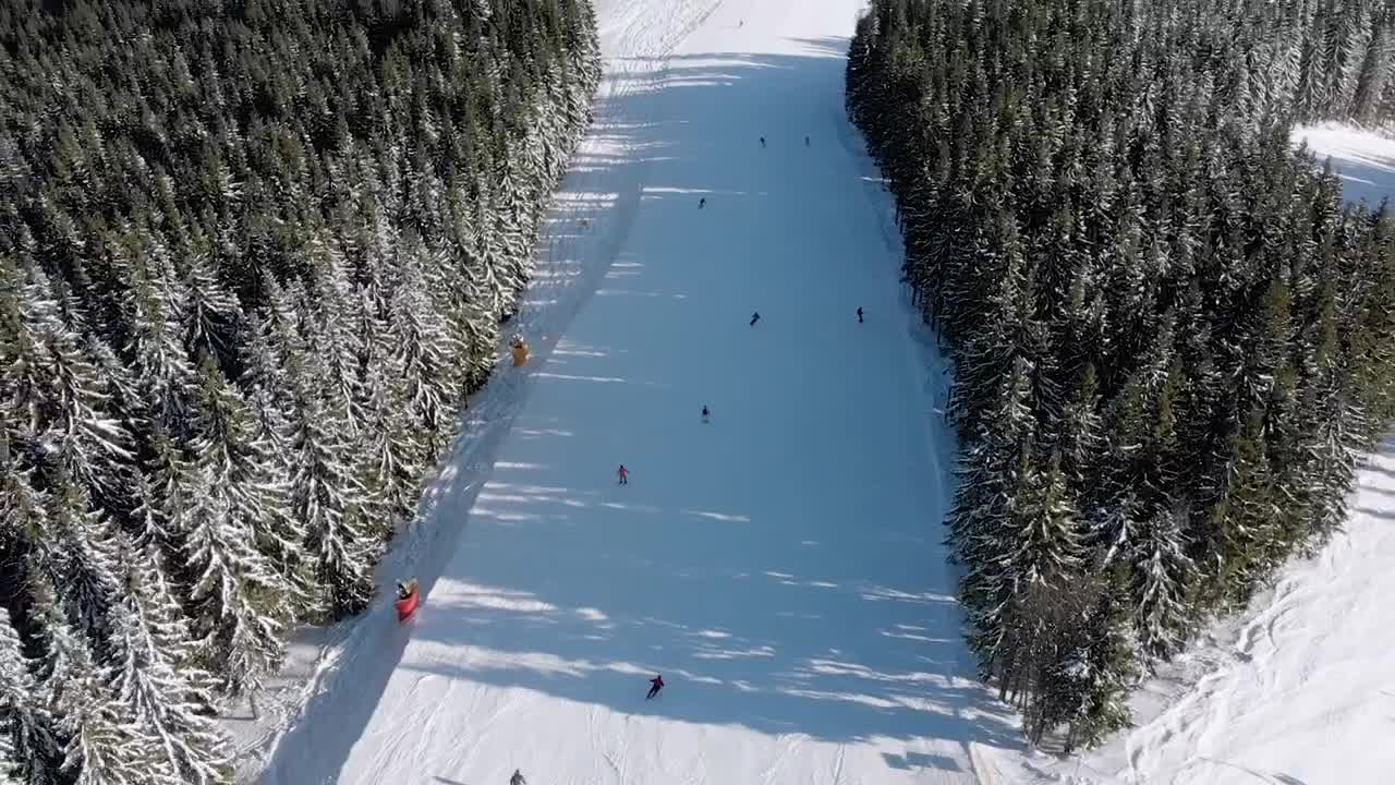 Download Stock Video Aerial View Of Skiers Going Down The Mountain Live Wallpaper for PC