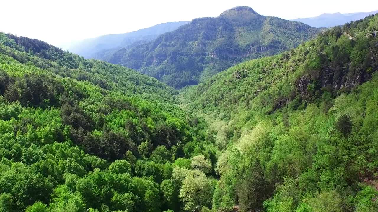 Download Stock Video Aerial View Of The Forest And The Mountain Live Wallpaper for PC