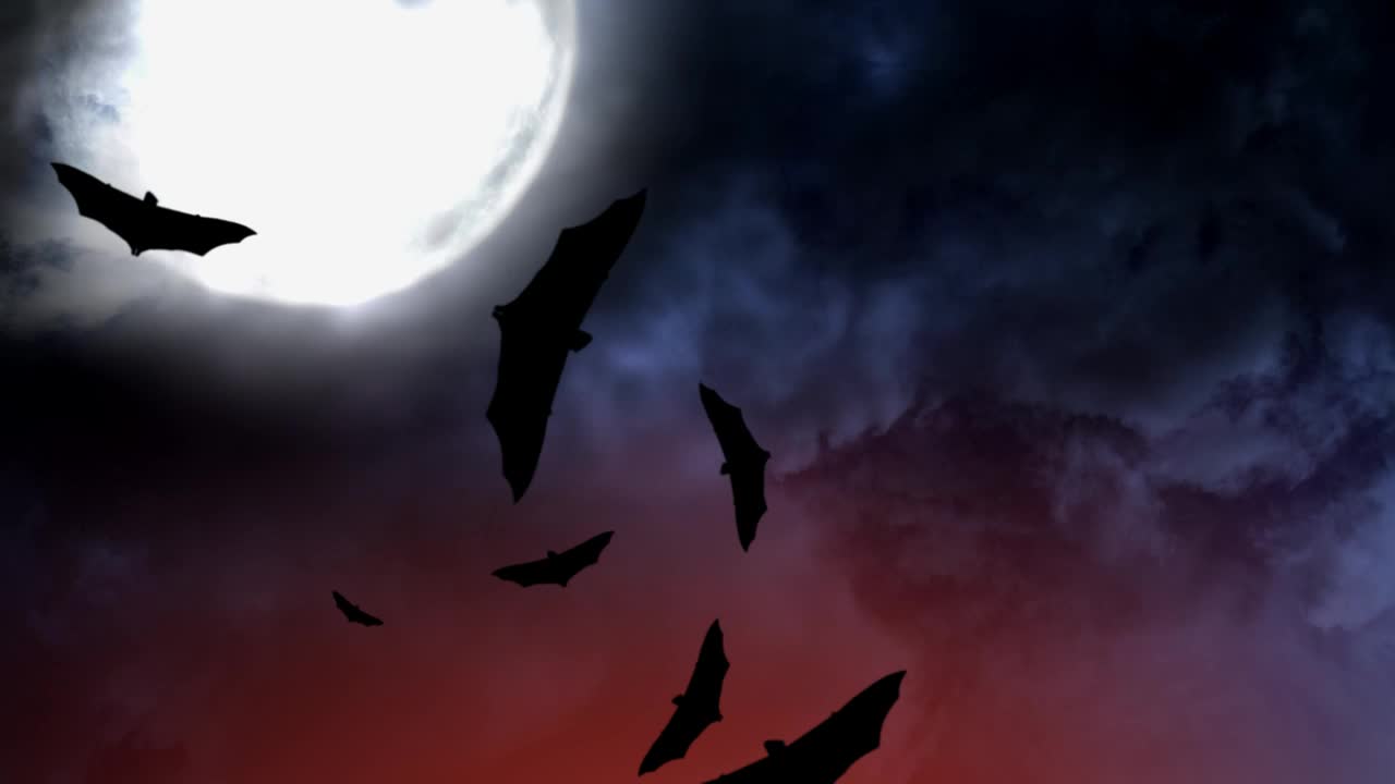 Download Stock Video Bats On Halloween Live Wallpaper For PC