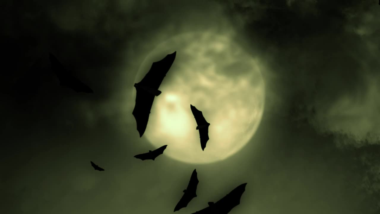 Download Stock Video Bats And The Full Moon On Halloween Live Wallpaper For PC