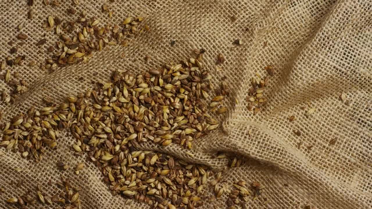 Download Stock Video Barley Grains On A Natural Fabric Live Wallpaper For PC