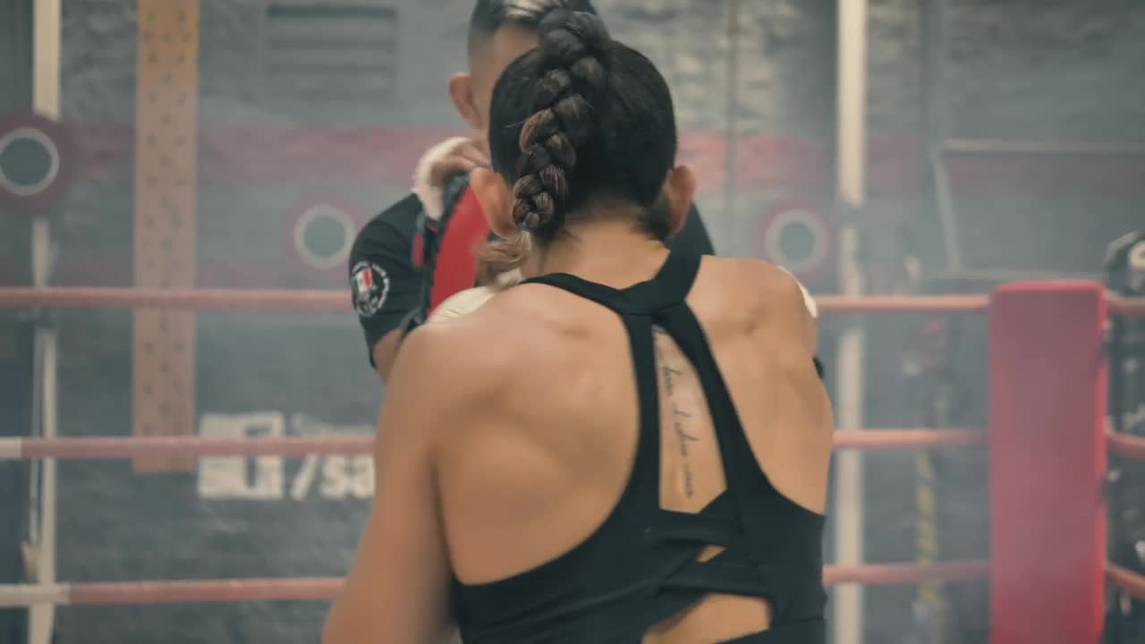 Download Stock Video Back View Of A Woman Doing Kickboxing With Her Coach Live Wallpaper For PC