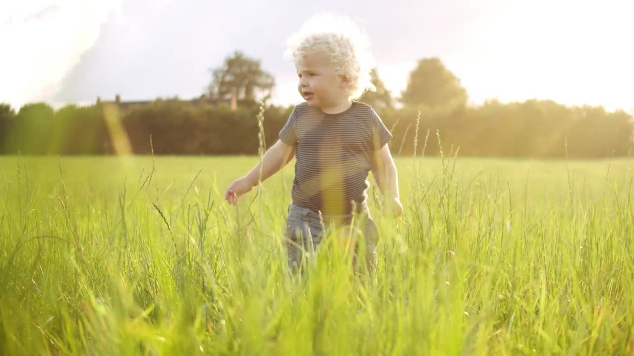 Download Stock Video Baby Playing In A Field Live Wallpaper For PC