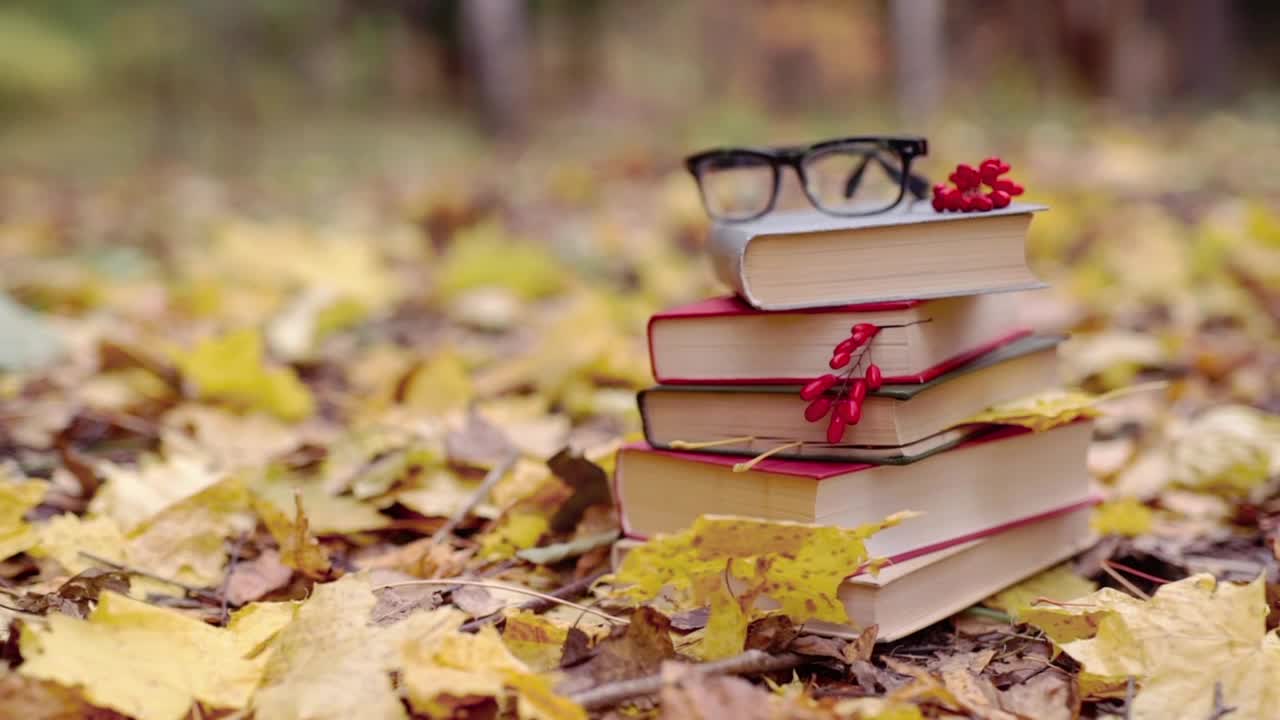 Download Stock Video Autumn Leaves Fall On Stack Of School Books Live Wallpaper For PC