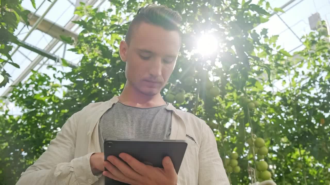 Download Stock Video Agronomist Using A Tablet In The Greenhouse Live Wallpaper For PC