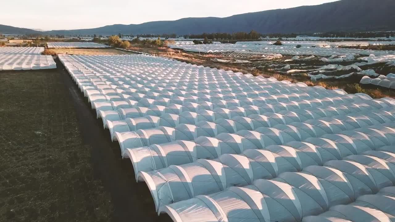 Download Stock Video Agriculture Field From Above Live Wallpaper For PC