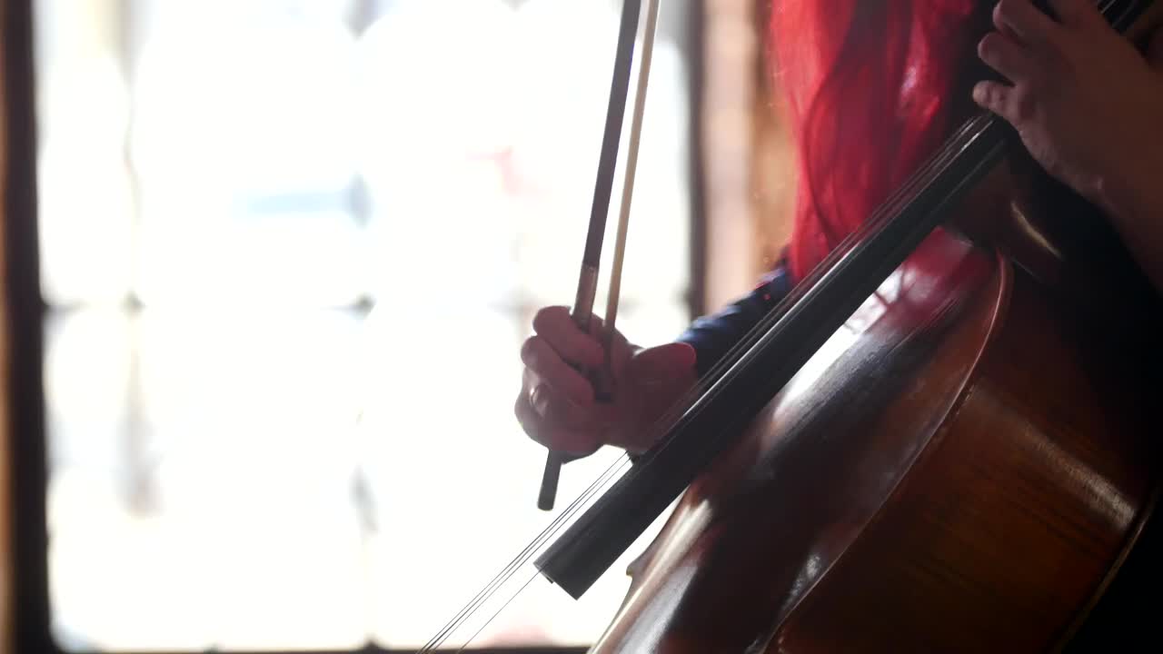 Download Stock Video A Woman Plays The Cello Live Wallpaper For PC