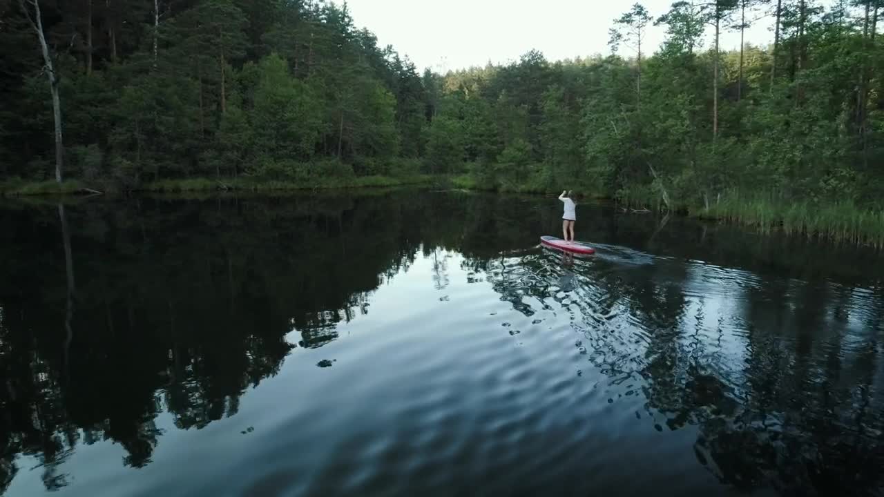 Download Stock Video A Woman On A Paddle Board Exploring The Forest Live Wallpaper For PC