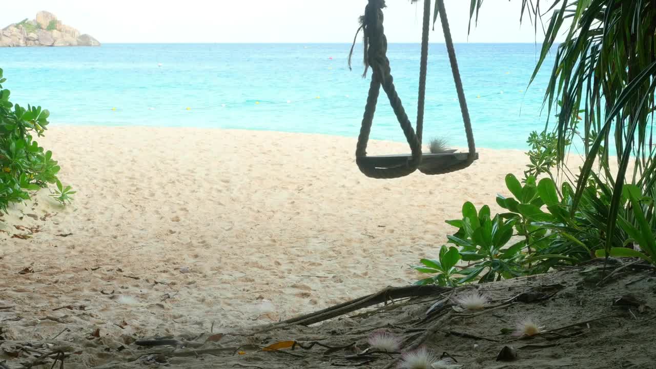 Download Stock Video A Rope Swings On A Tropical Beach Live Wallpaper For PC