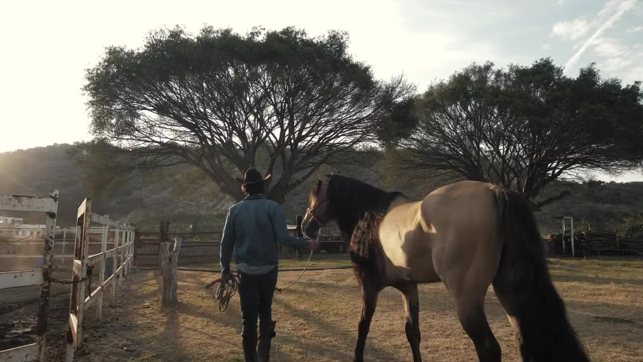 Download Stock Video A Rancher And Horse At A Ranch Live Wallpaper For PC