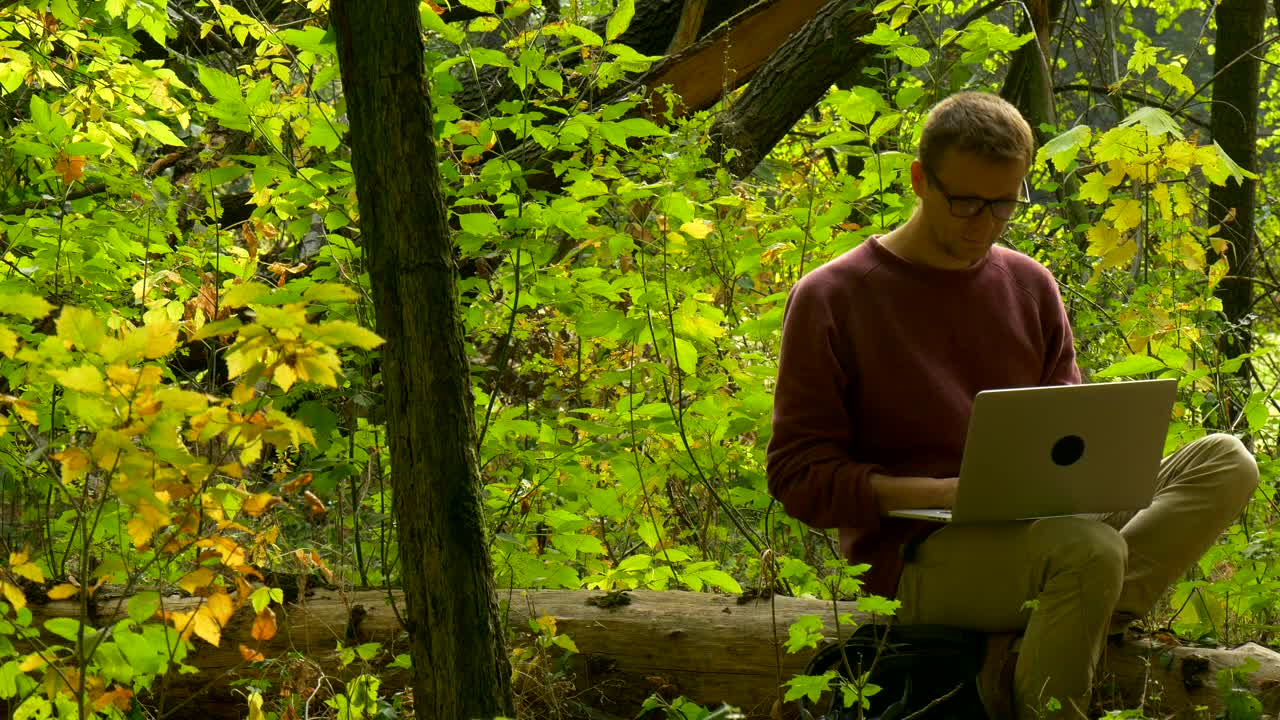 Download Stock Video A Man Sitting On A Log In The Forest Reading Live Wallpaper For PC