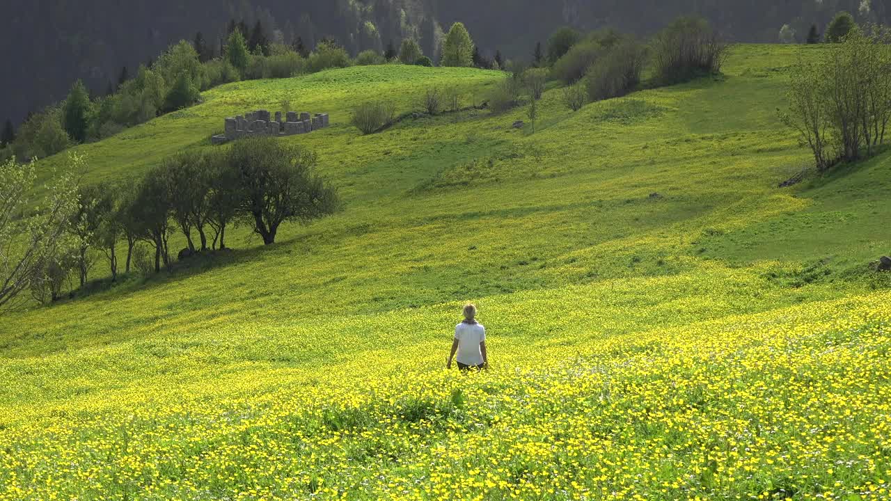 Download Stock Video A Lonely Woman Walk In A Green Valley Live Wallpaper For PC