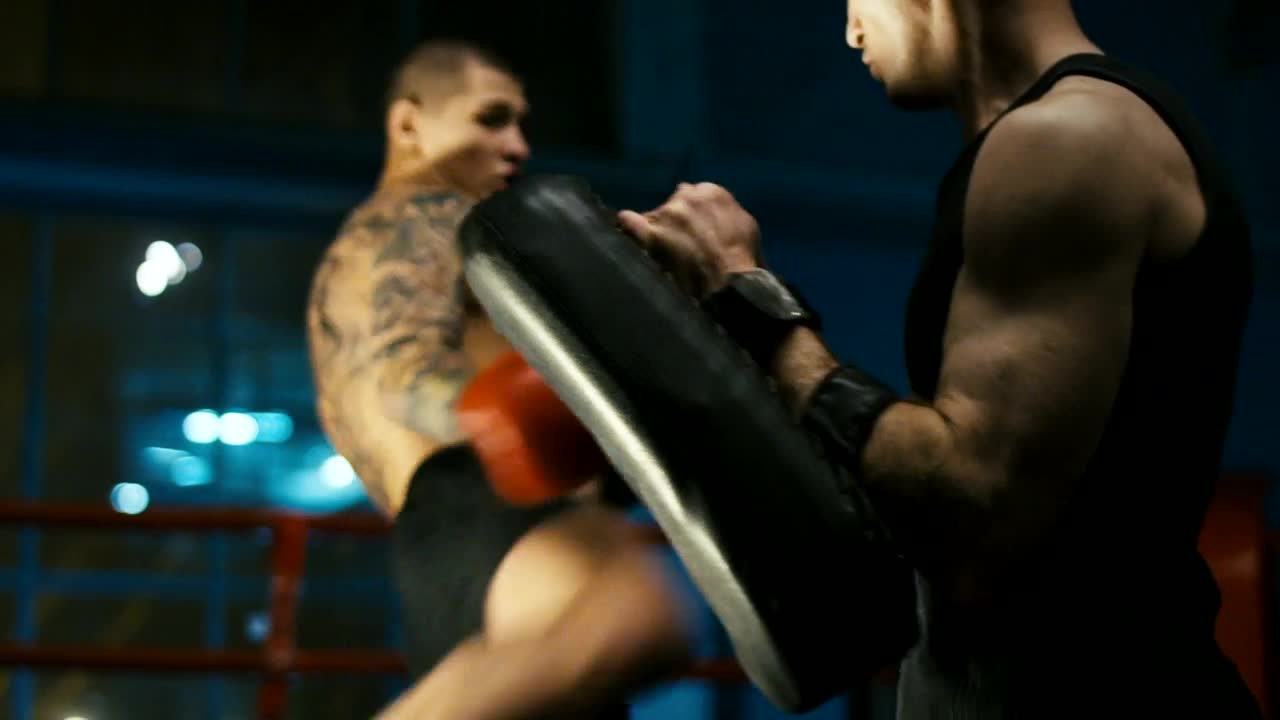 Download Stock Video A Fighter Training The Kicks On The Ring Live Wallpaper For PC