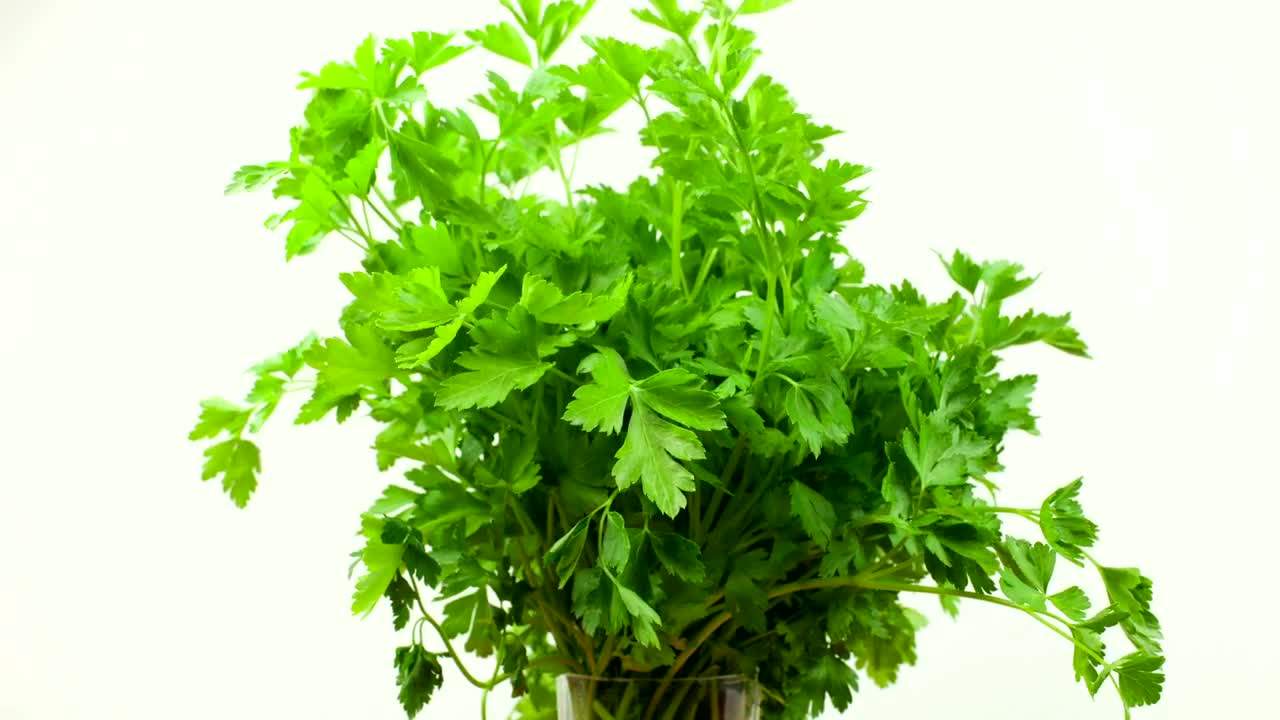 Download Stock Video Bunch Of Parsley Live Wallpaper For PC