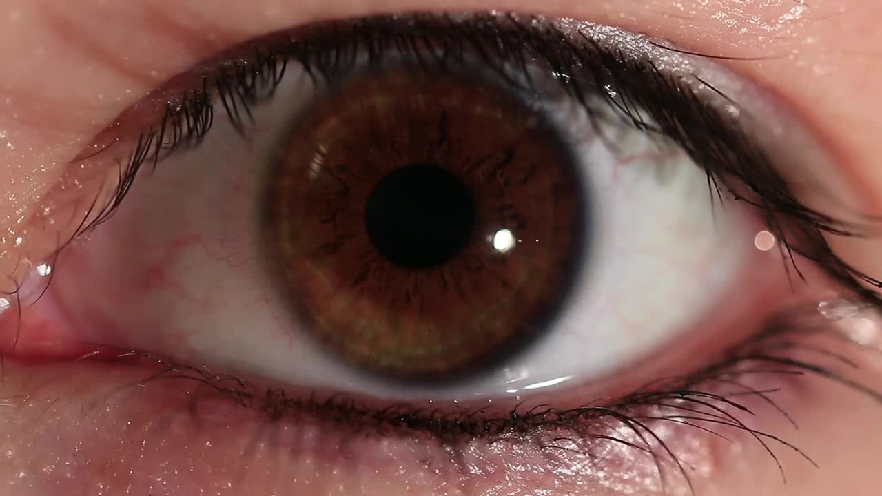 Download Stock Video Brown Eye Closeup Live Wallpaper For PC