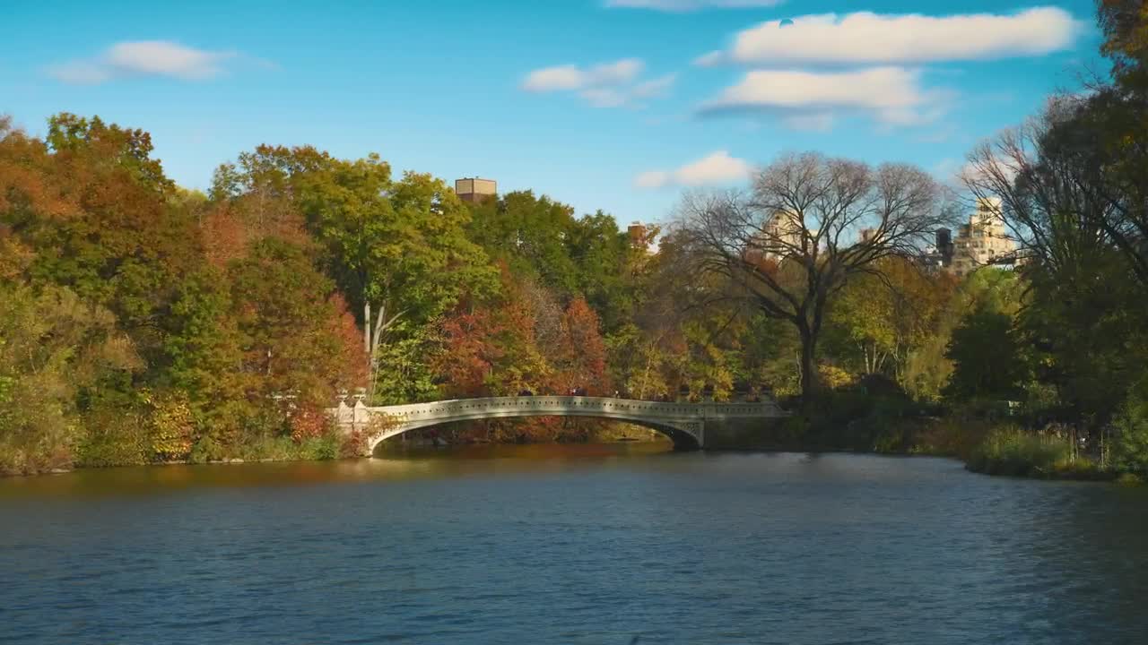 Download Stock Video Bridge In Central Park Live Wallpaper For PC