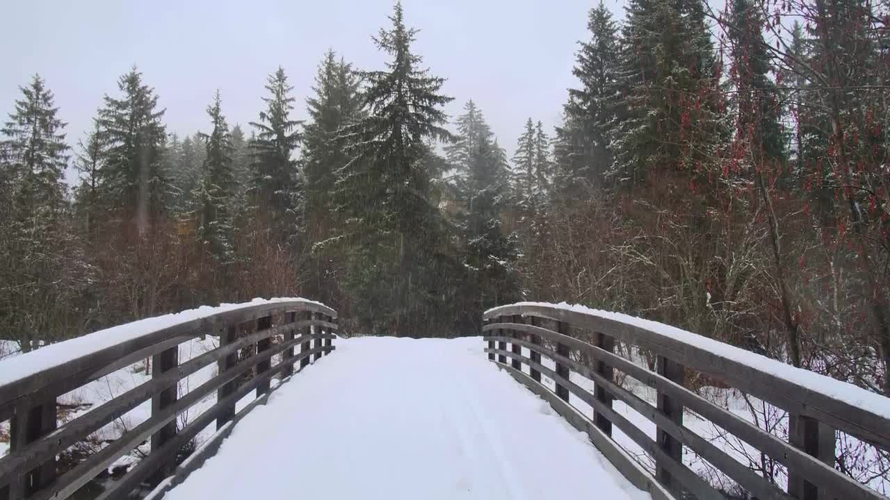 Download Stock Video Bridge Covering Of Snow In A Forest Live Wallpaper For PC