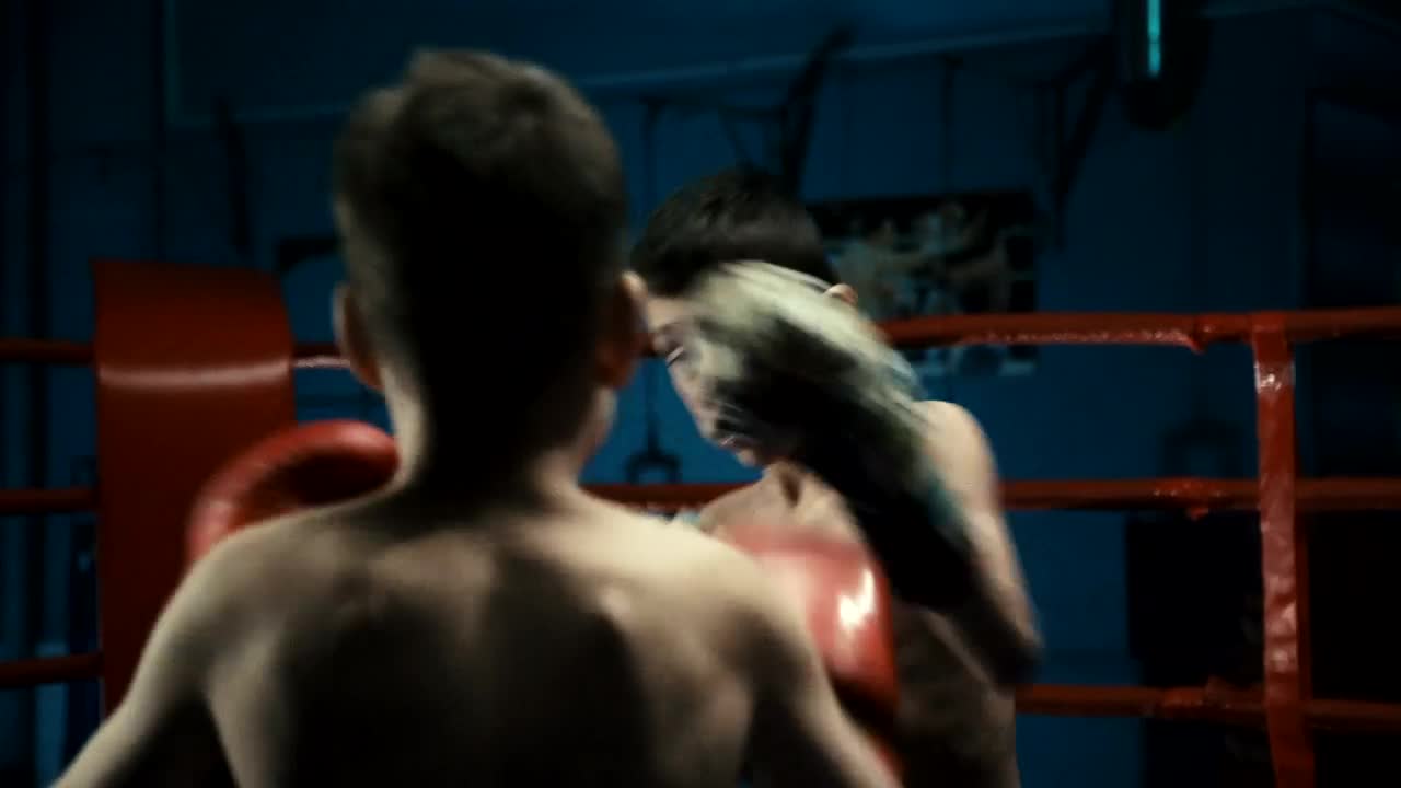 Download Stock Video Boys Training Box On The Ring Live Wallpaper For PC