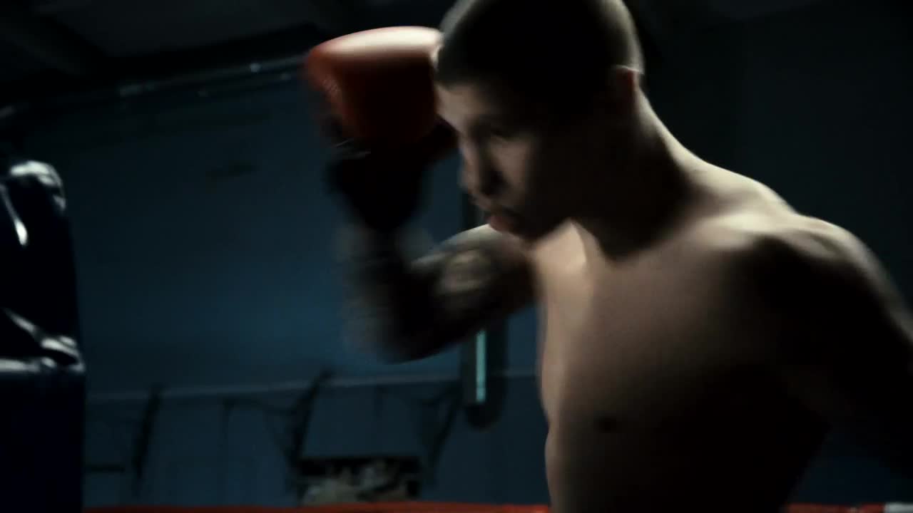 Download Stock Video Boxer Training Hard At The Gym Live Wallpaper For PC